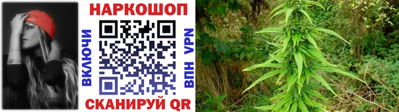 Купить наркотики Дигора СОЛЬ КОКАИН Меф Гашиш