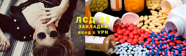 прущие крисы Бородино