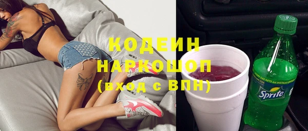 прущие крисы Бородино
