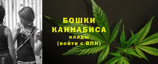 прущие крисы Бородино