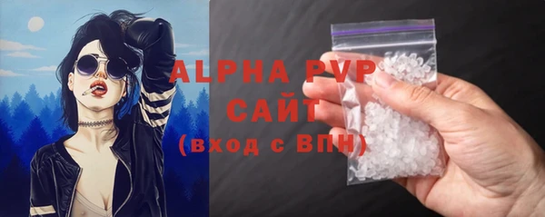 прущие крисы Бородино