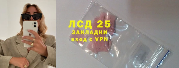 прущие крисы Бородино