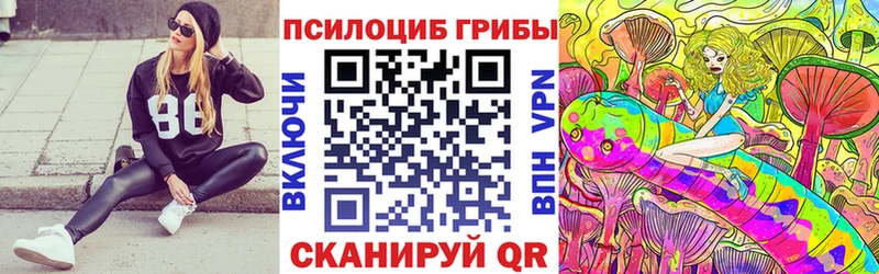 купить наркоту  Дигора  Галлюциногенные грибы Psilocybe 